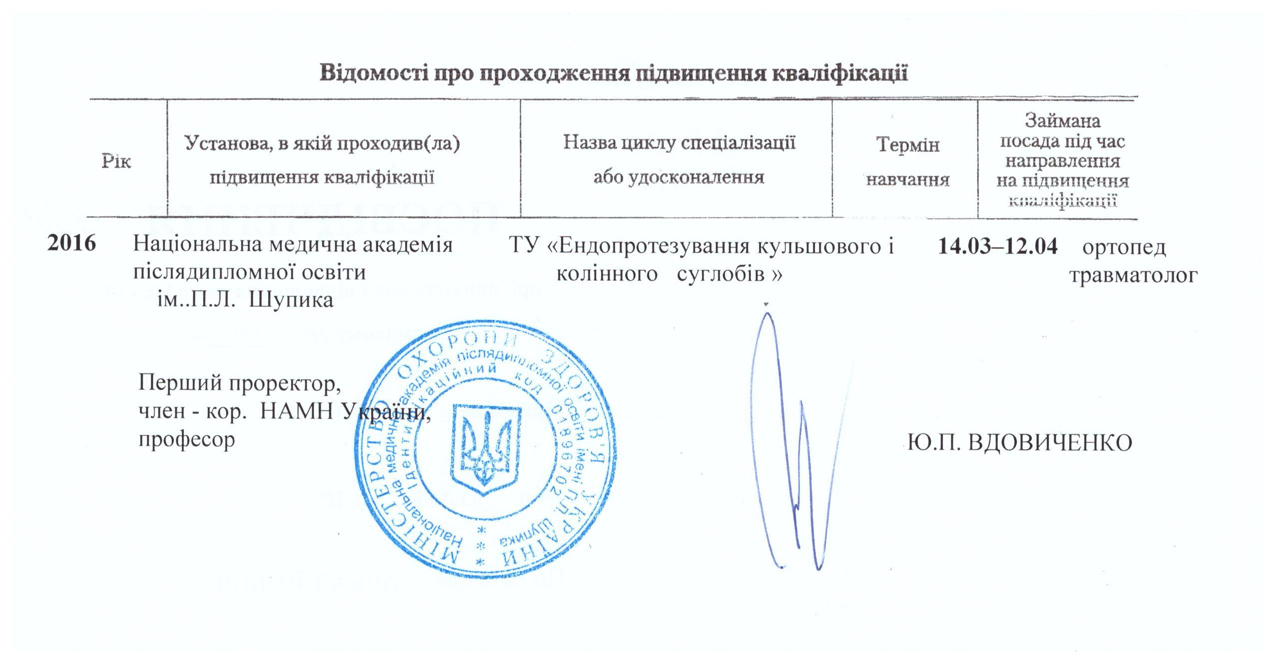 Новый - 0017