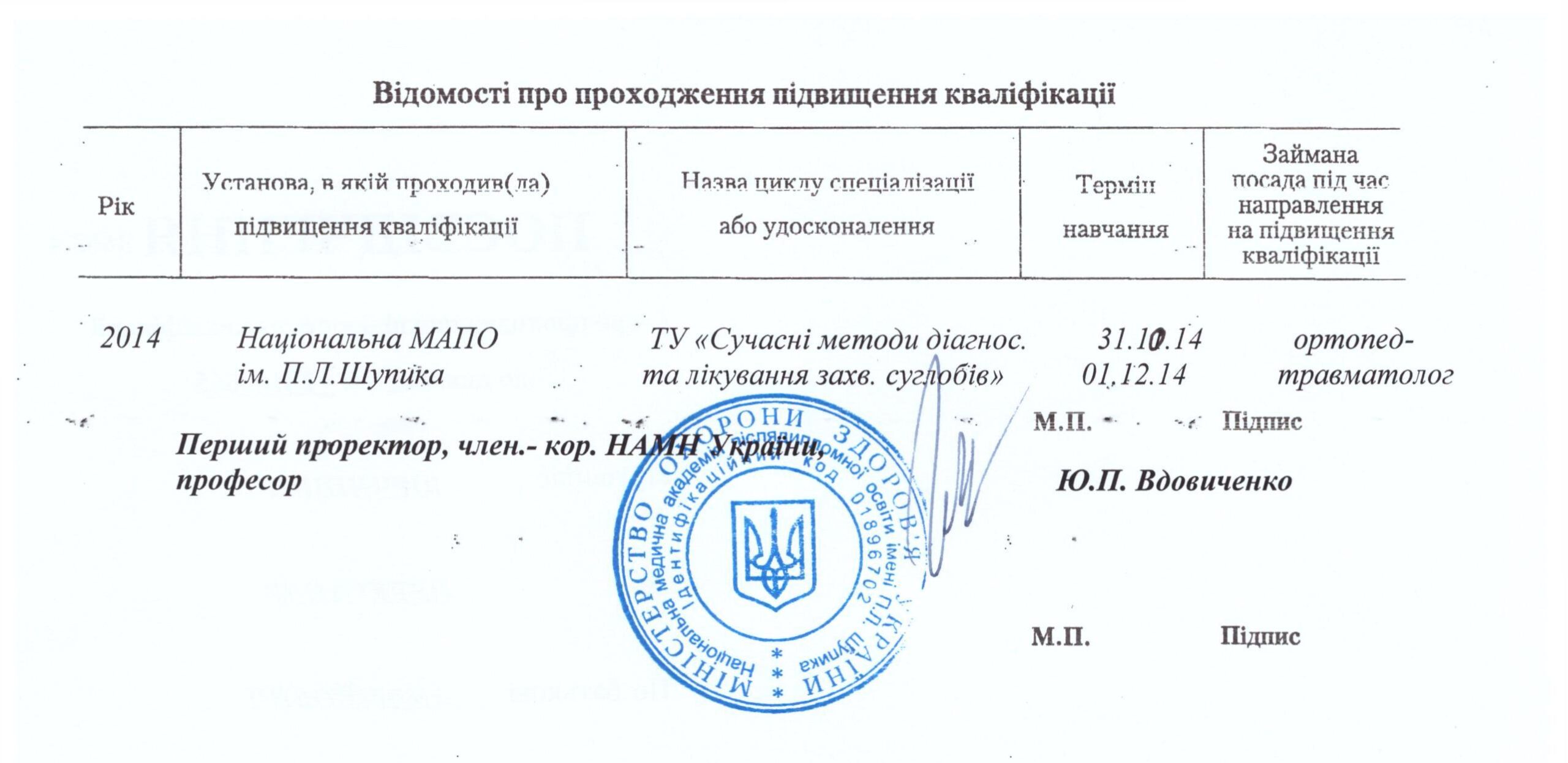 Новый - 0025